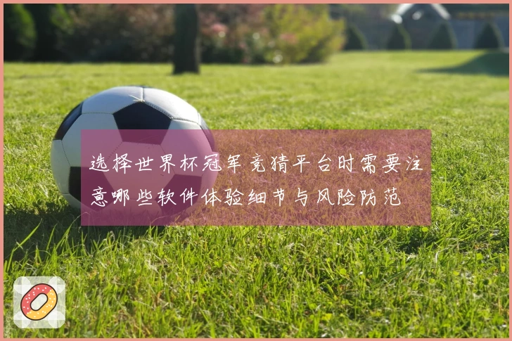 选择世界杯冠军竞猜平台时需要注意哪些软件体验细节与风险防范