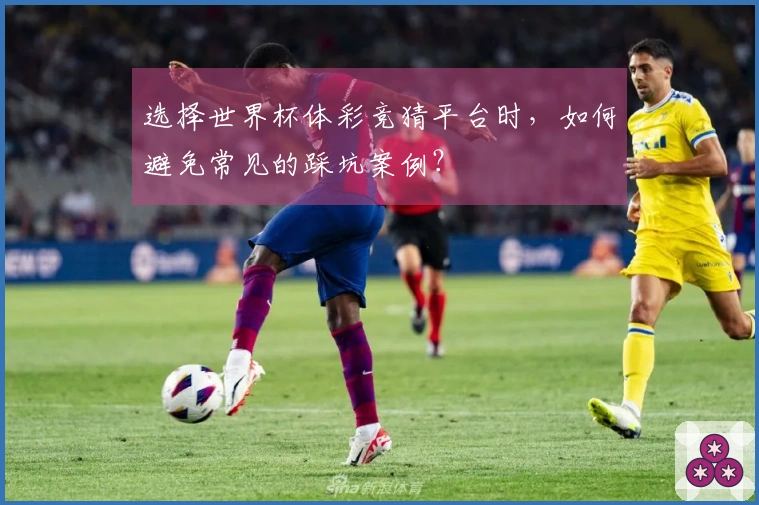 选择世界杯体彩竞猜平台时，如何避免常见的踩坑案例？