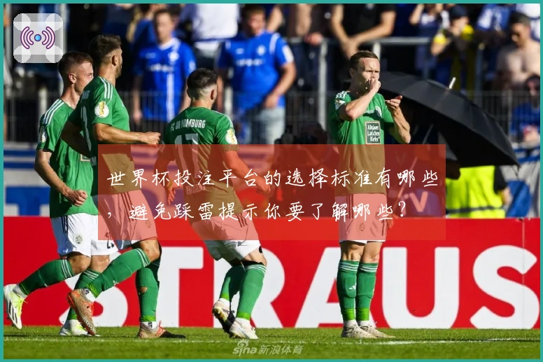 世界杯投注平台的选择标准有哪些，避免踩雷提示你要了解哪些？