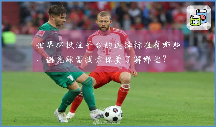 世界杯投注平台的选择标准有哪些，避免踩雷提示你要了解哪些？